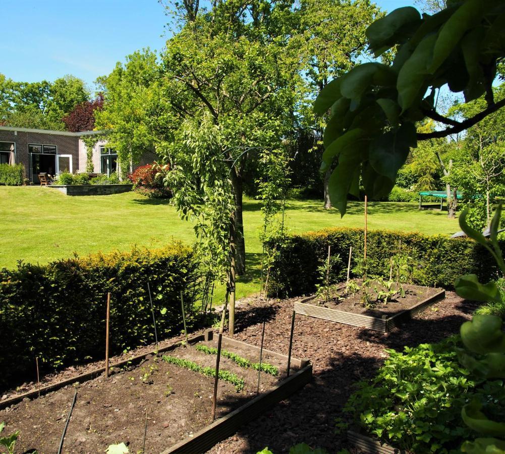 Ferienwohnung De Oude Dokterspraktijk Zuidhorn Exterior foto