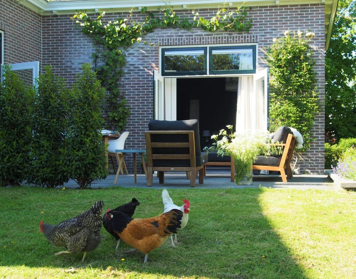 Ferienwohnung De Oude Dokterspraktijk Zuidhorn Exterior foto